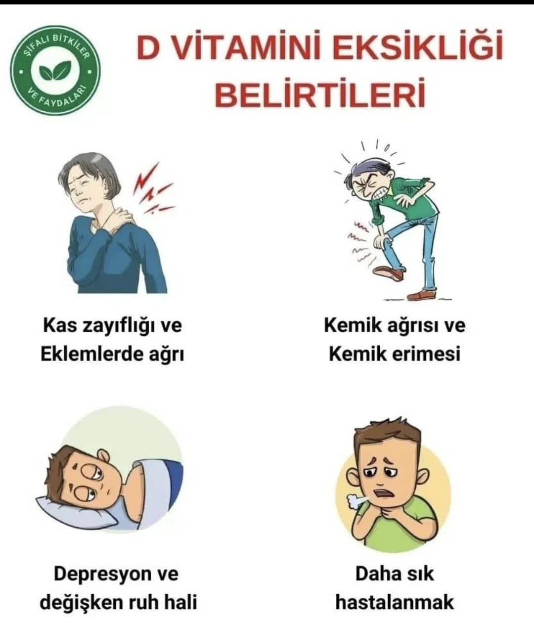 Spirulina Kapsül Bilgisi